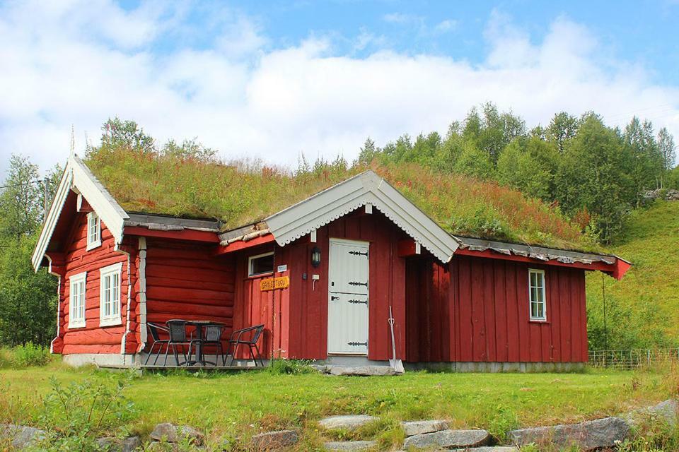 Gamlestugu hytte Ål Eksteriør bilde